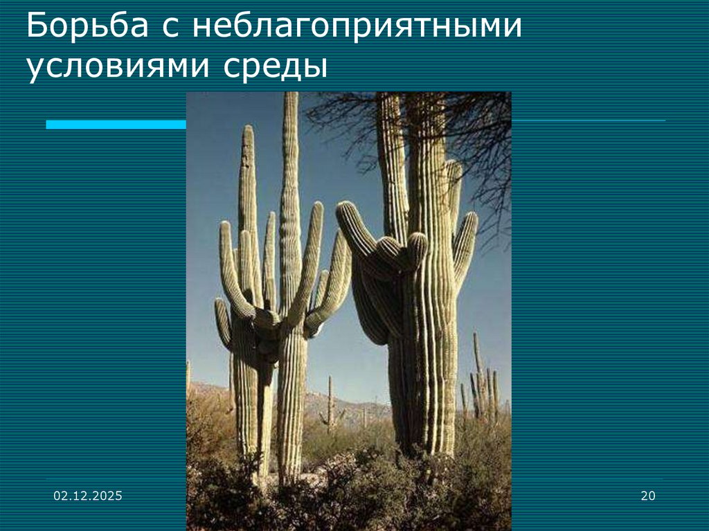 Борьба с неблагоприятными условиями среды