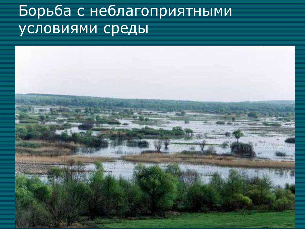 Борьба с неблагоприятными условиями среды