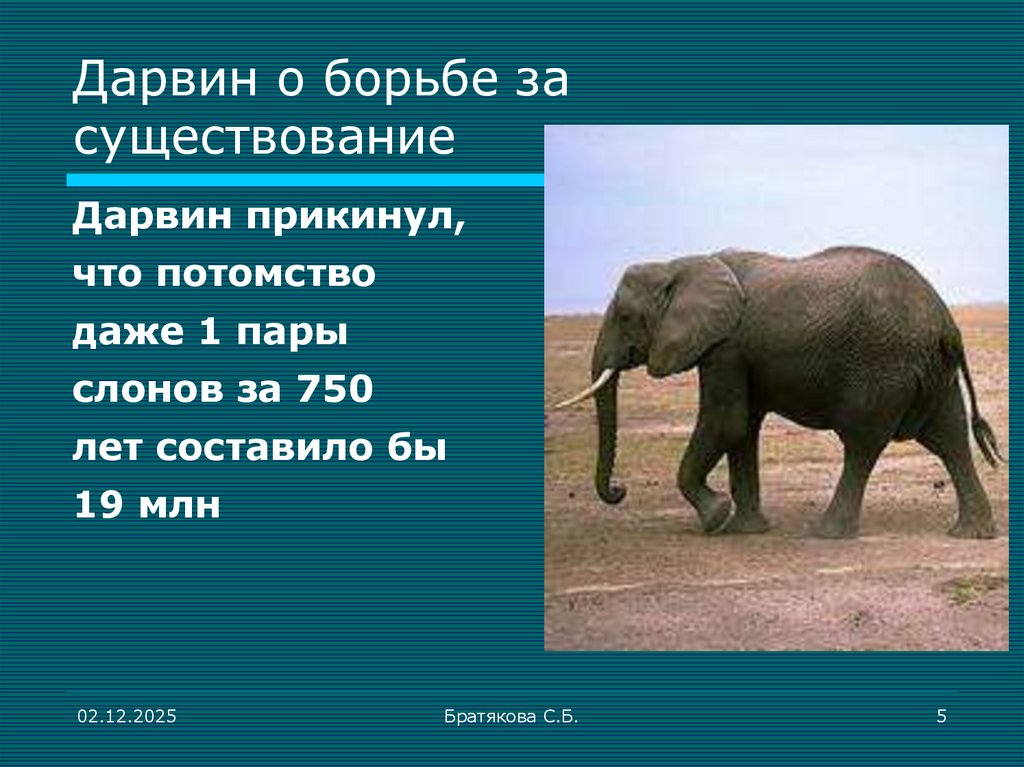 Дарвин о борьбе за существование