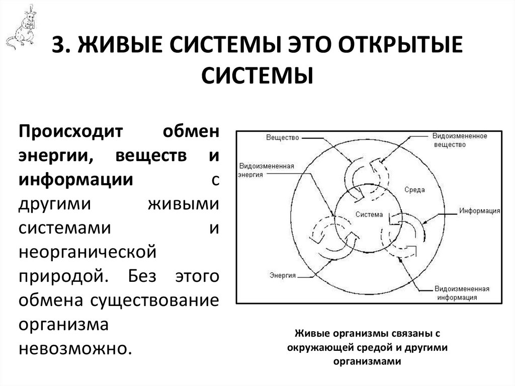 3. ЖИВЫЕ СИСТЕМЫ ЭТО ОТКРЫТЫЕ СИСТЕМЫ