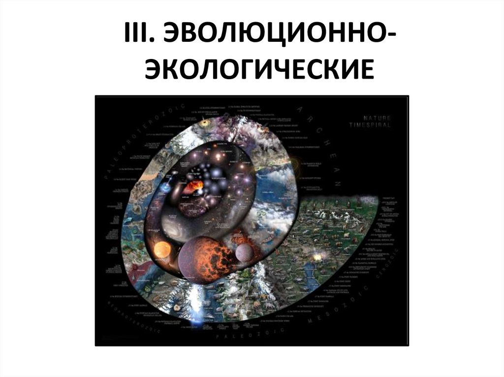 III. ЭВОЛЮЦИОННО-ЭКОЛОГИЧЕСКИЕ