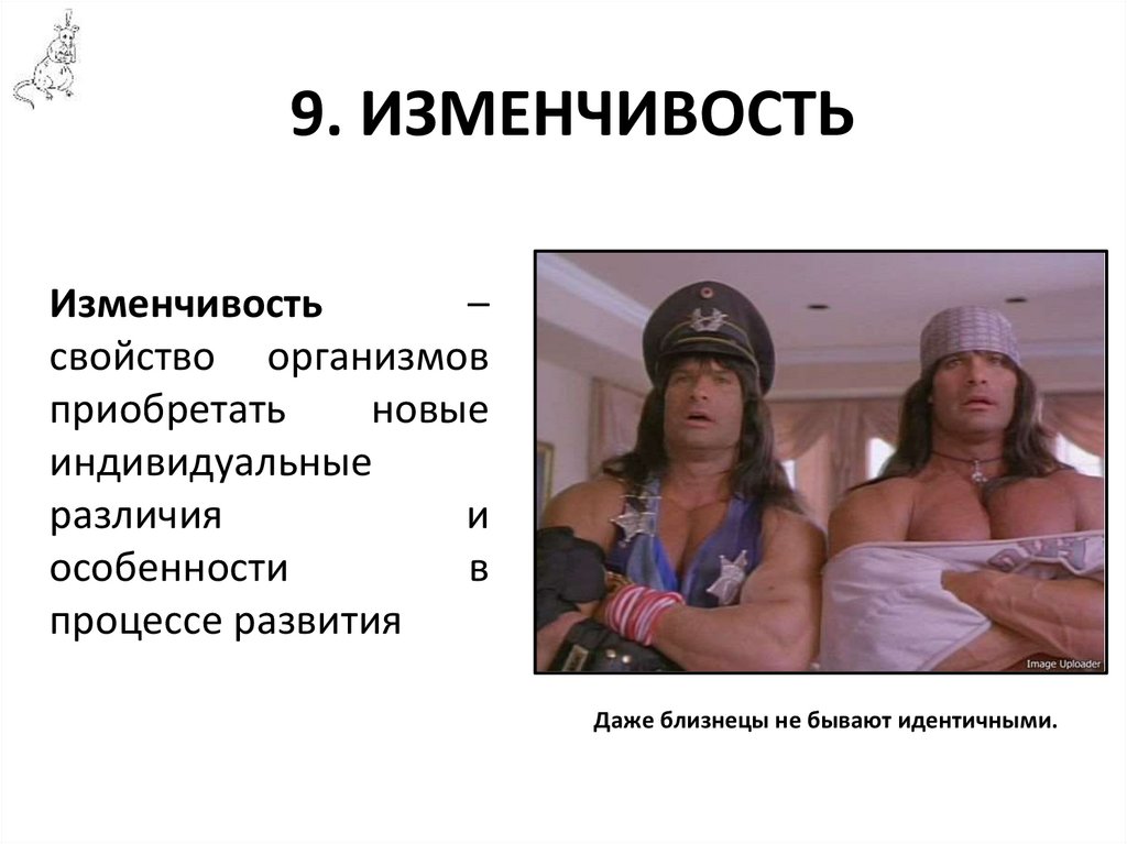 9. ИЗМЕНЧИВОСТЬ