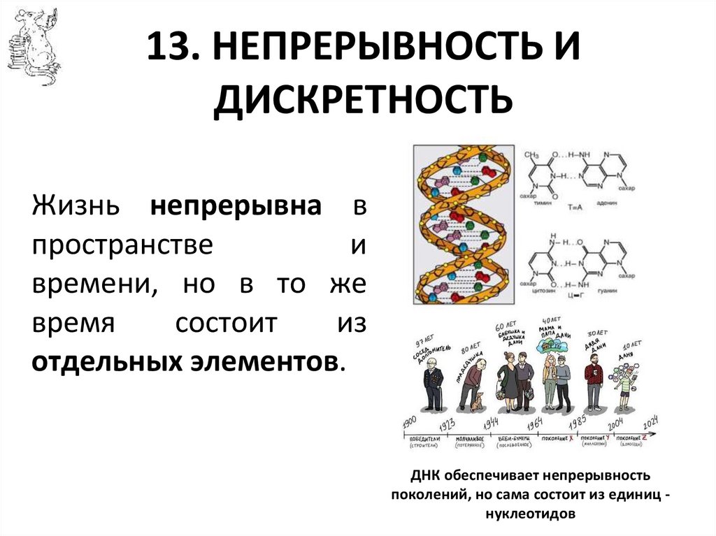 13. НЕПРЕРЫВНОСТЬ И ДИСКРЕТНОСТЬ