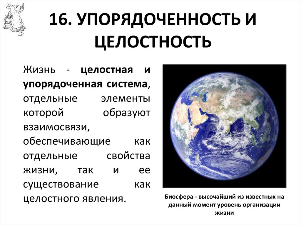 16. УПОРЯДОЧЕННОСТЬ И ЦЕЛОСТНОСТЬ