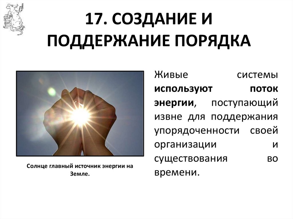 17. СОЗДАНИЕ И ПОДДЕРЖАНИЕ ПОРЯДКА