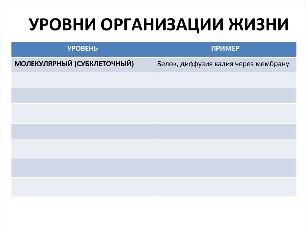 УРОВНИ ОРГАНИЗАЦИИ ЖИЗНИ