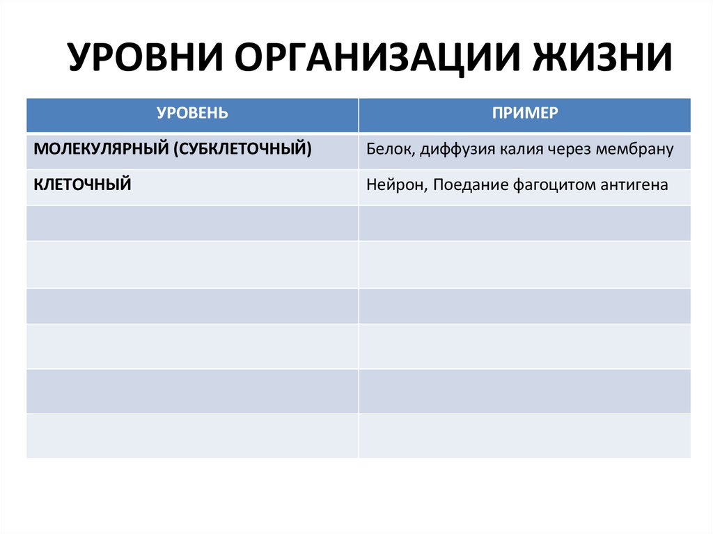 УРОВНИ ОРГАНИЗАЦИИ ЖИЗНИ