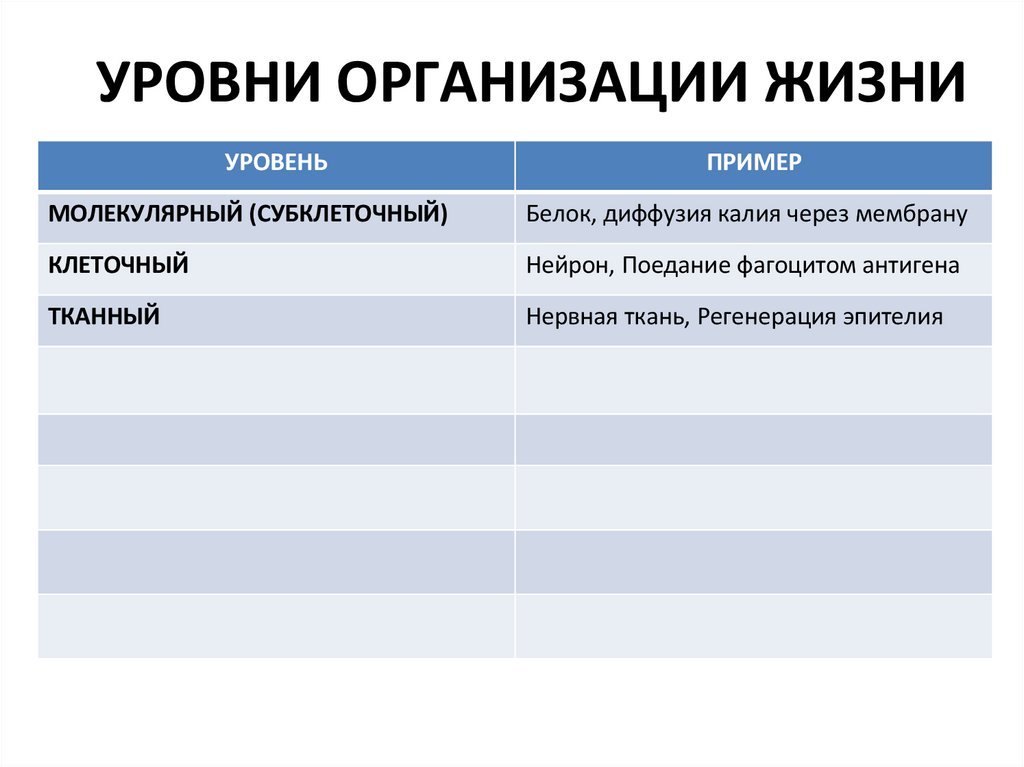УРОВНИ ОРГАНИЗАЦИИ ЖИЗНИ