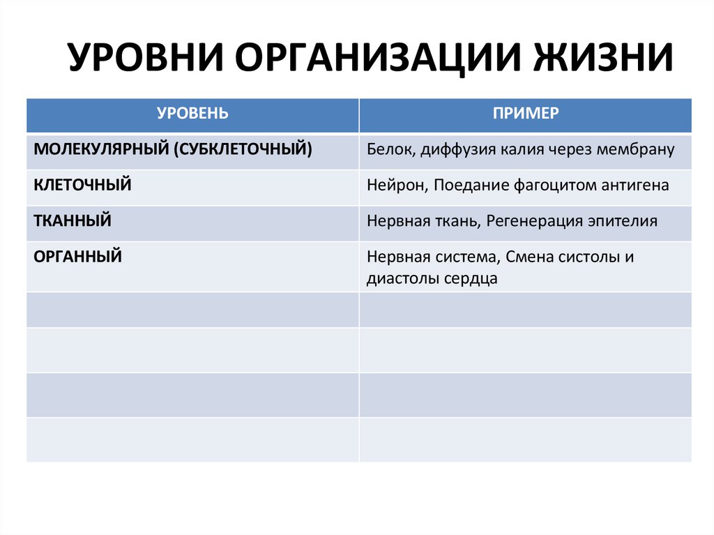 УРОВНИ ОРГАНИЗАЦИИ ЖИЗНИ