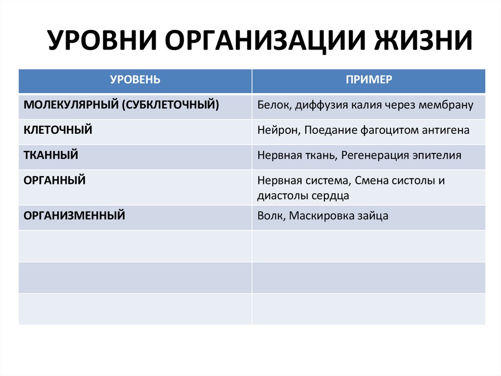 УРОВНИ ОРГАНИЗАЦИИ ЖИЗНИ