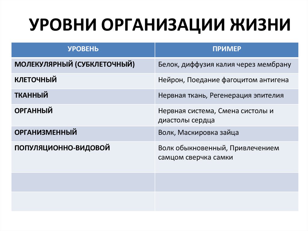 УРОВНИ ОРГАНИЗАЦИИ ЖИЗНИ