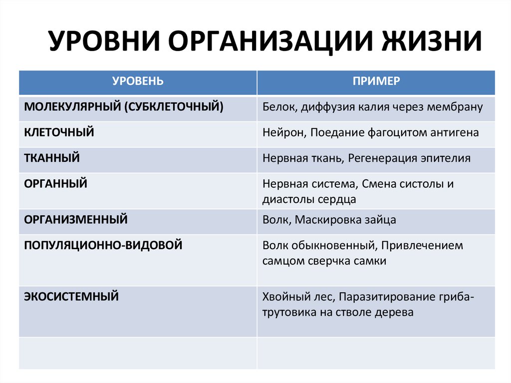 УРОВНИ ОРГАНИЗАЦИИ ЖИЗНИ