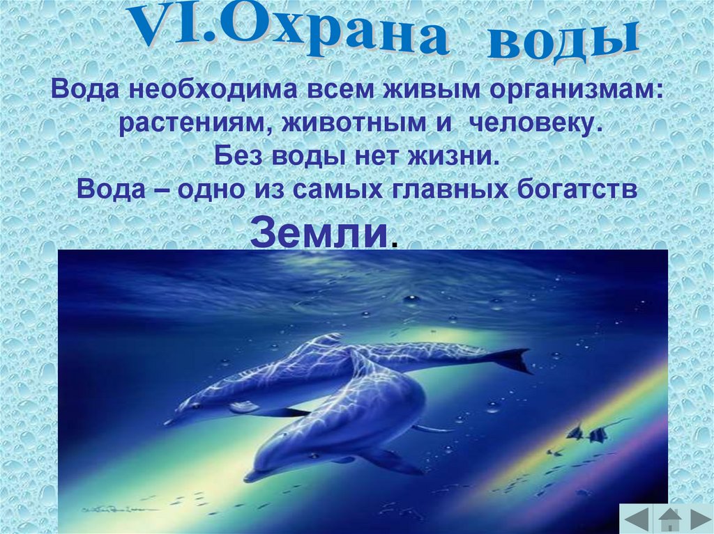 Вода необходима всем живым организмам: растениям, животным и человеку. Без воды нет жизни. Вода – одно из самых главных