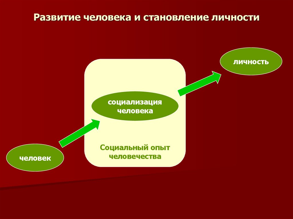 Развитие человека и становление личности