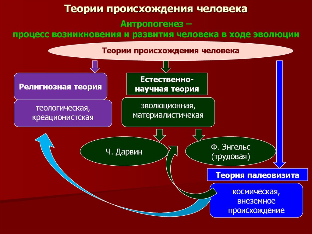 Теории происхождения человека