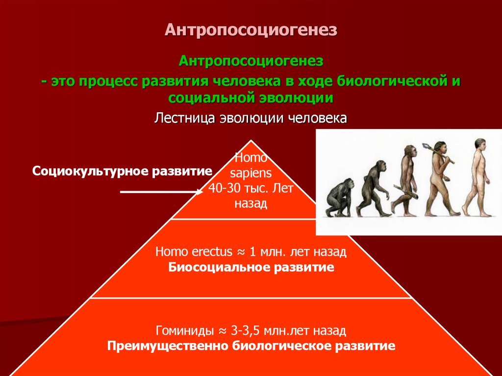 Антропосоциогенез