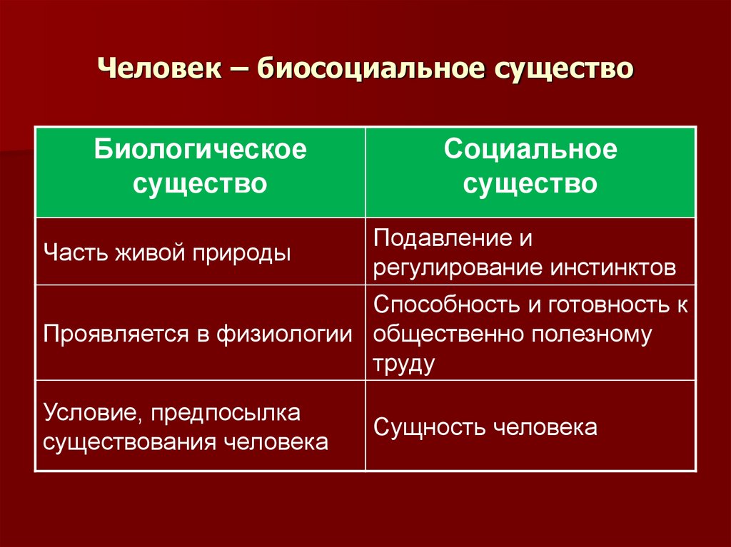 Человек – биосоциальное существо