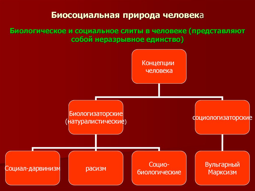 Биосоциальная природа человека