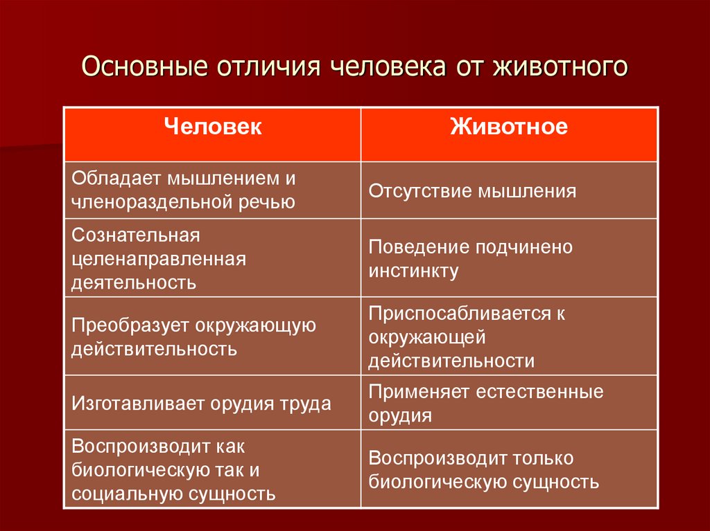 Основные отличия человека от животного