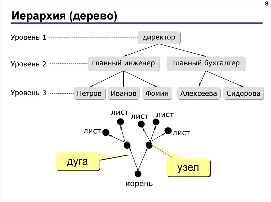 Иерархия (дерево)
