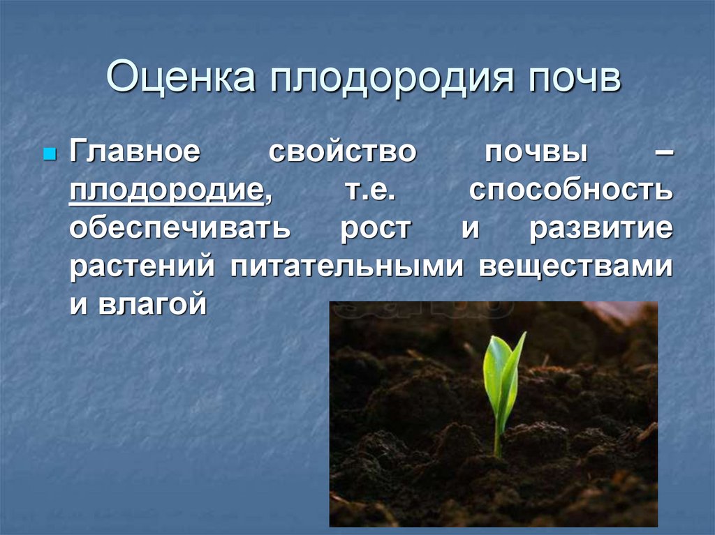 Оценка плодородия почв