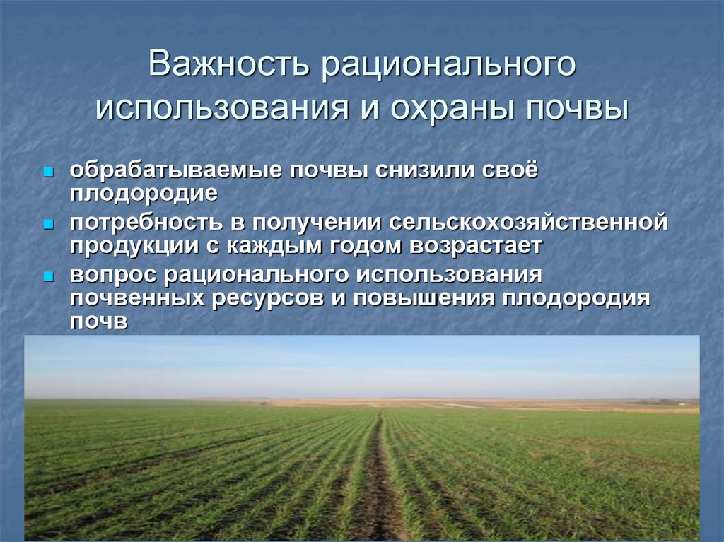 Важность рационального использования и охраны почвы