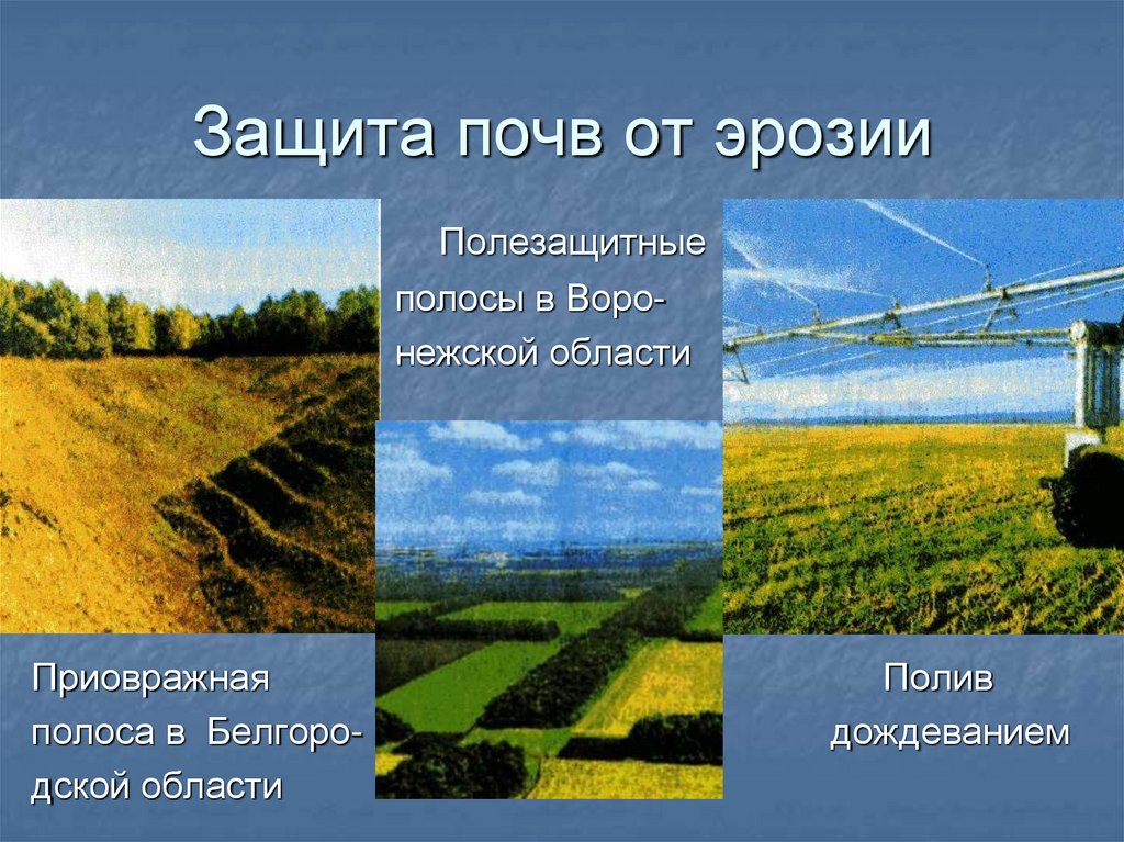 Защита почв от эрозии