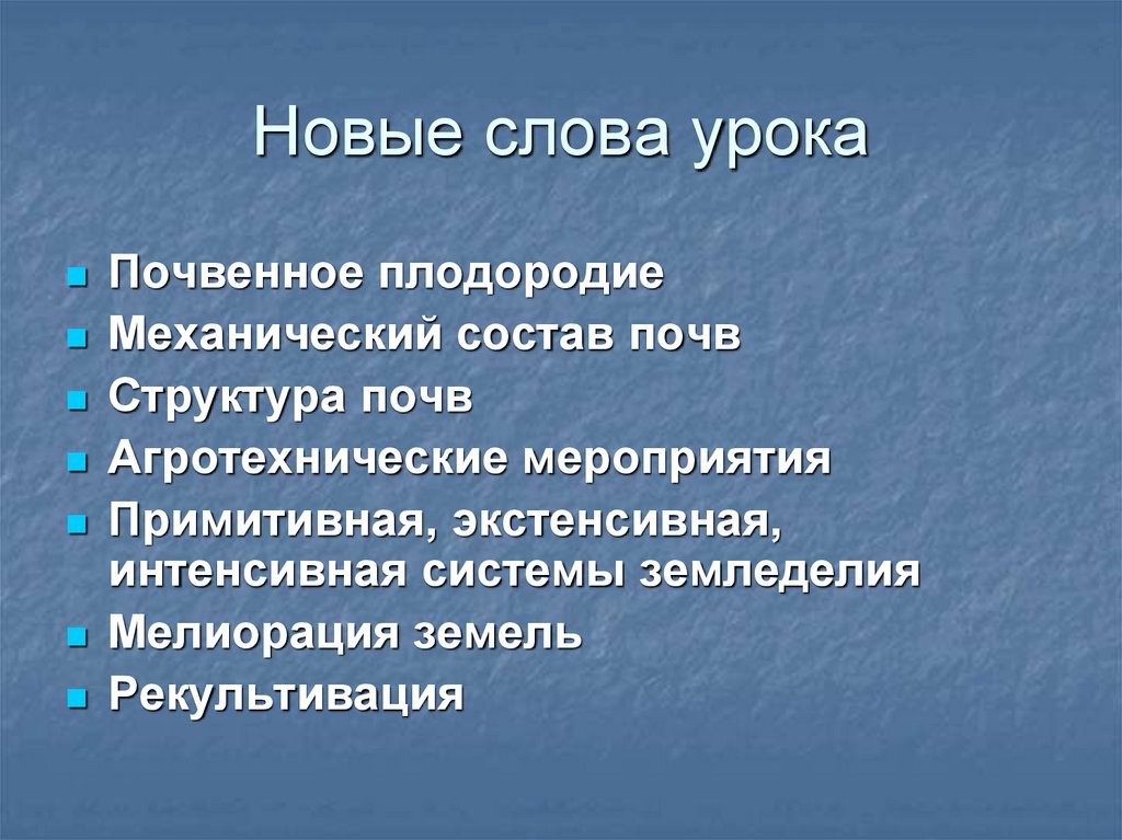 Новые слова урока