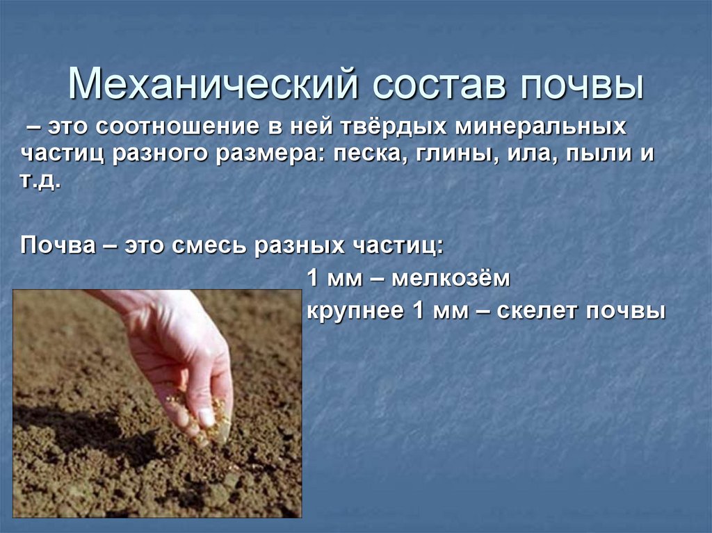 Механический состав почвы