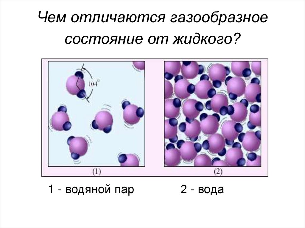 Чем отличаются газообразное состояние от жидкого?