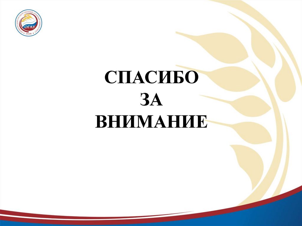 СПАСИБО ЗА ВНИМАНИЕ