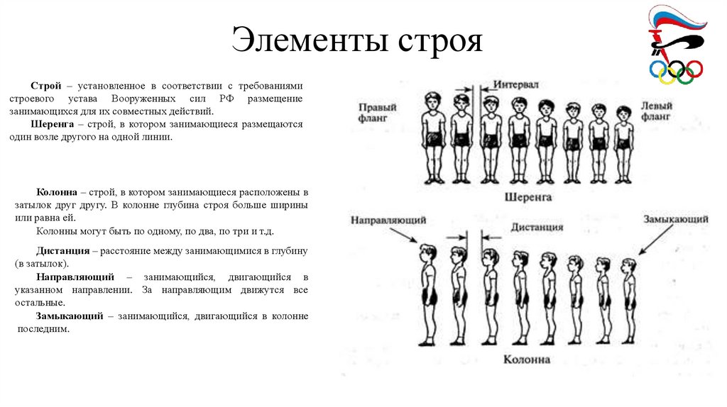 Элементы строя