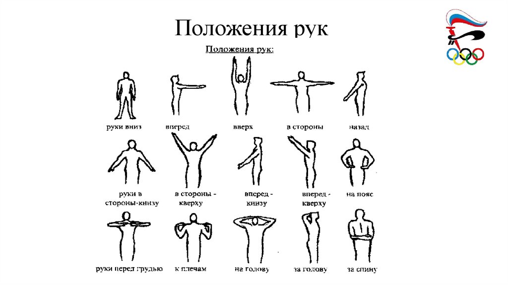 Положения рук