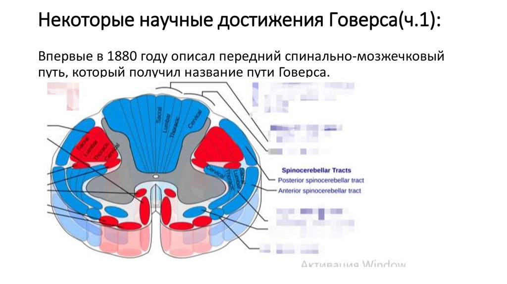 Некоторые научные достижения Говерса(ч.1):