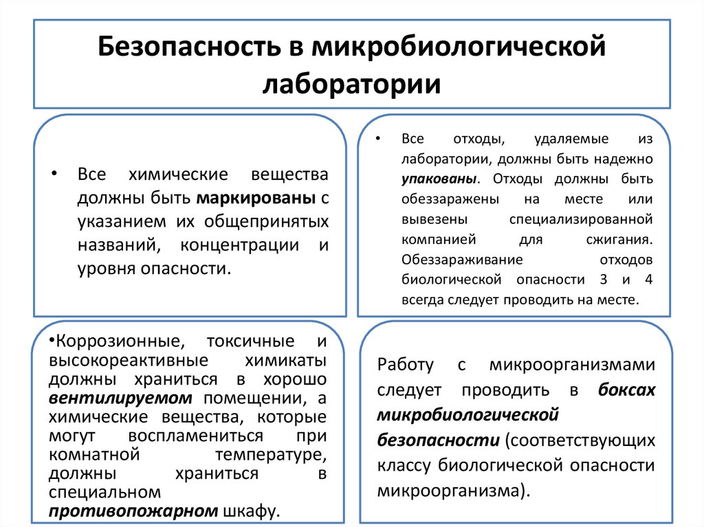 Безопасность в микробиологической лаборатории