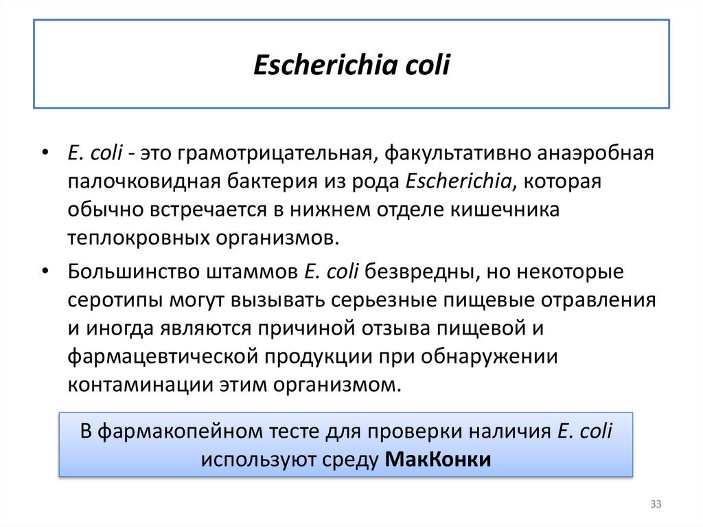 Escherichia coli