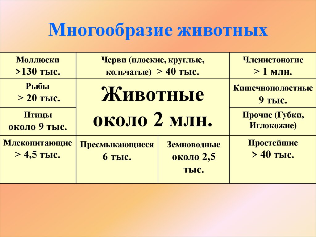 Многообразие животных