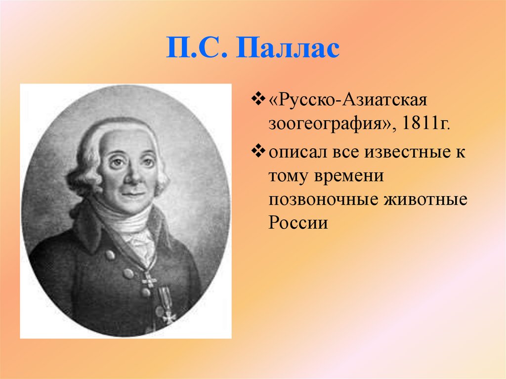 П.С. Паллас