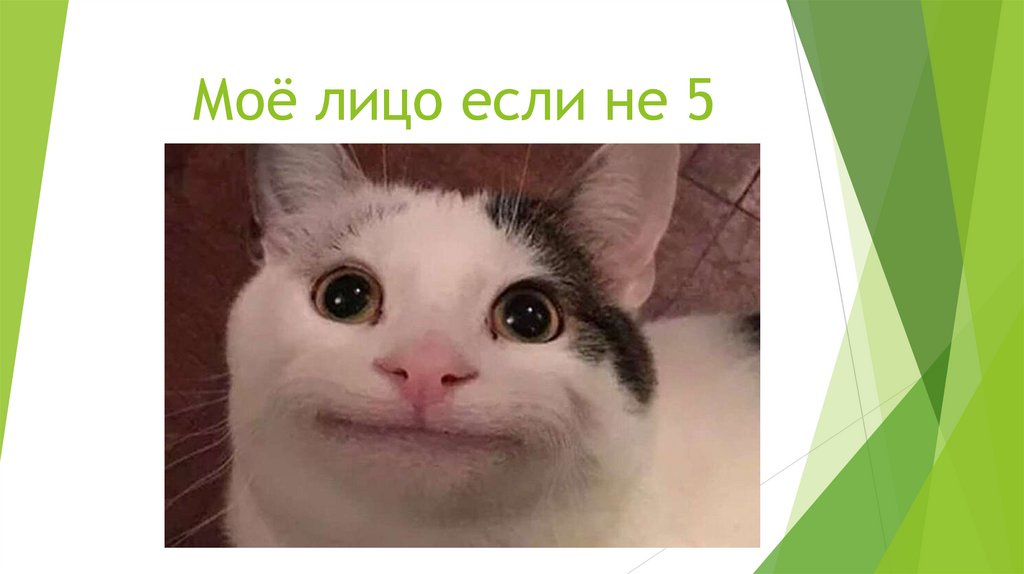 Моё лицо если не 5