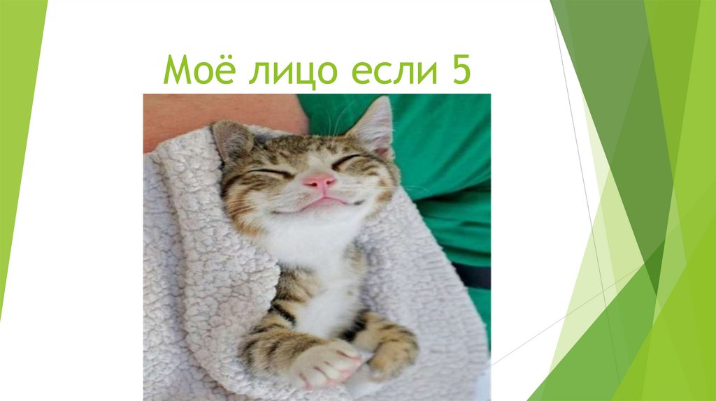 Моё лицо если 5