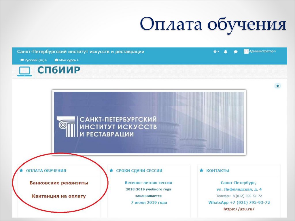 Оплата обучения