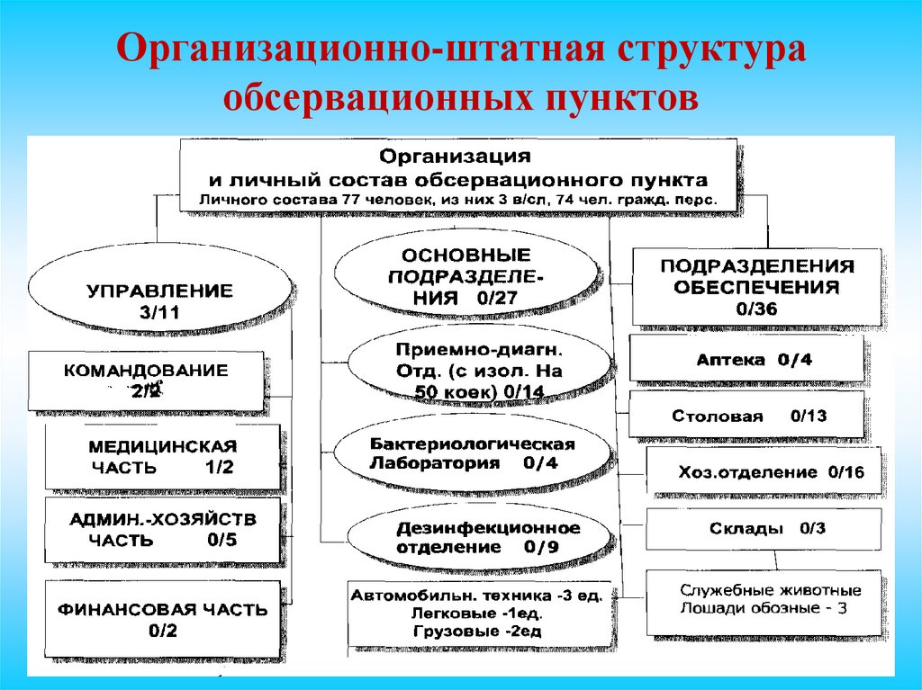 Организационно-штатная структура обсервационных пунктов