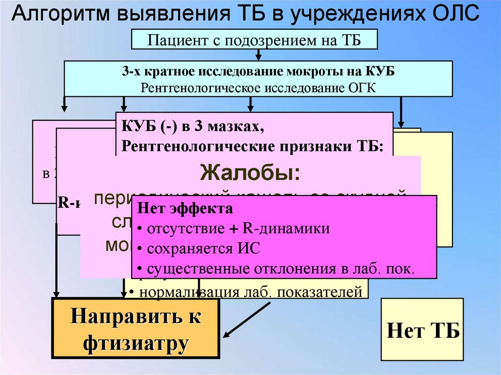 Алгоритм выявления ТБ в учреждениях ОЛС
