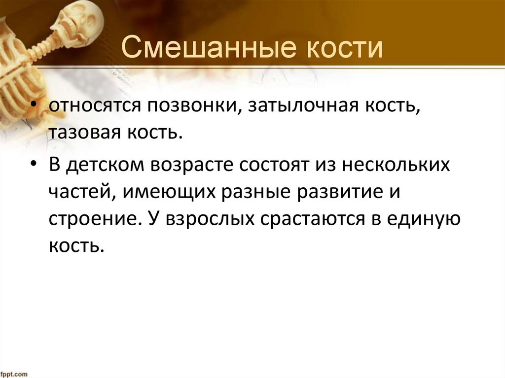 Смешанные кости