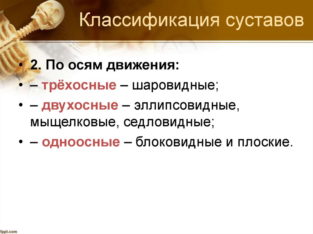 Классификация суставов