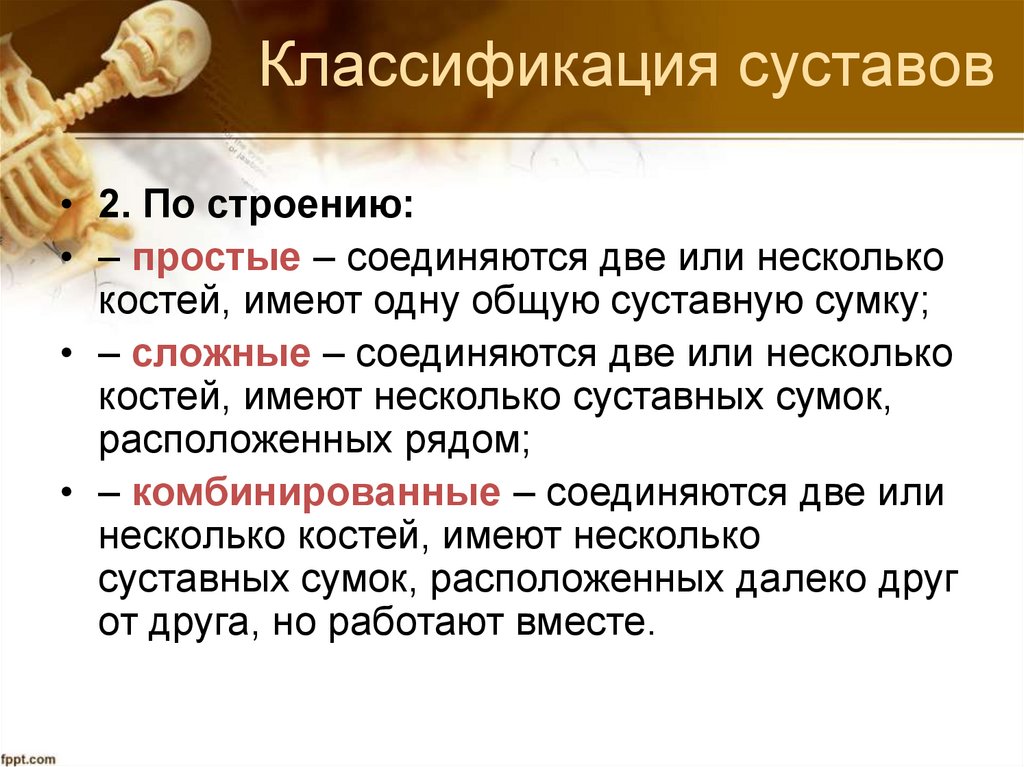 Классификация суставов