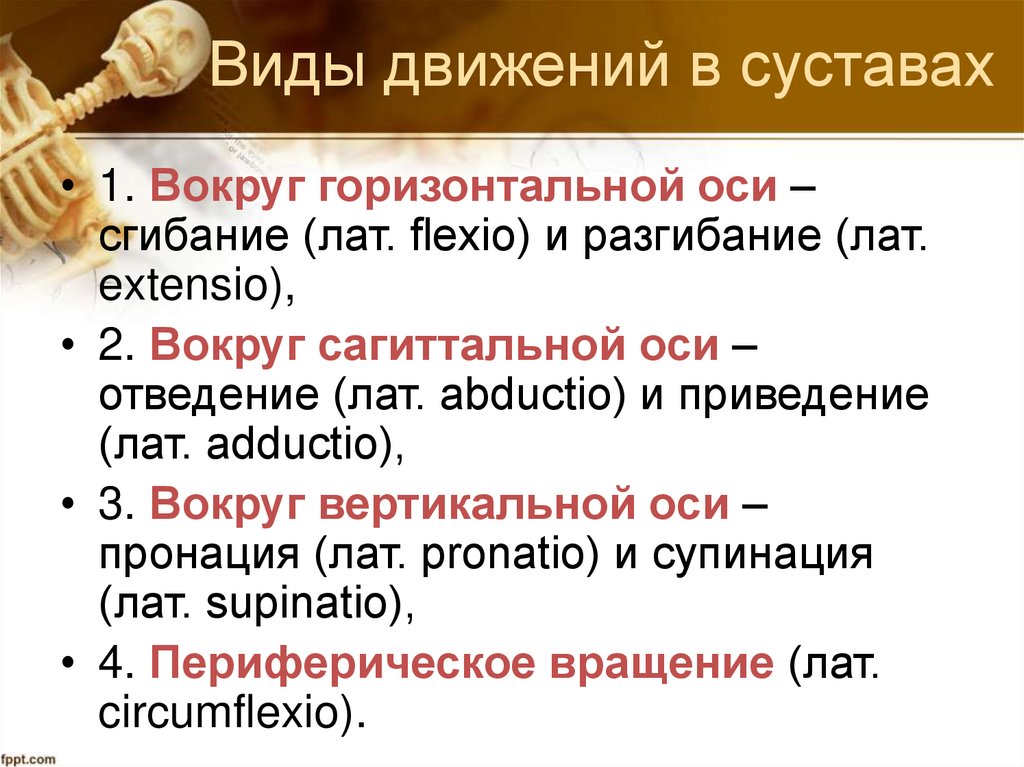 Виды движений в суставах