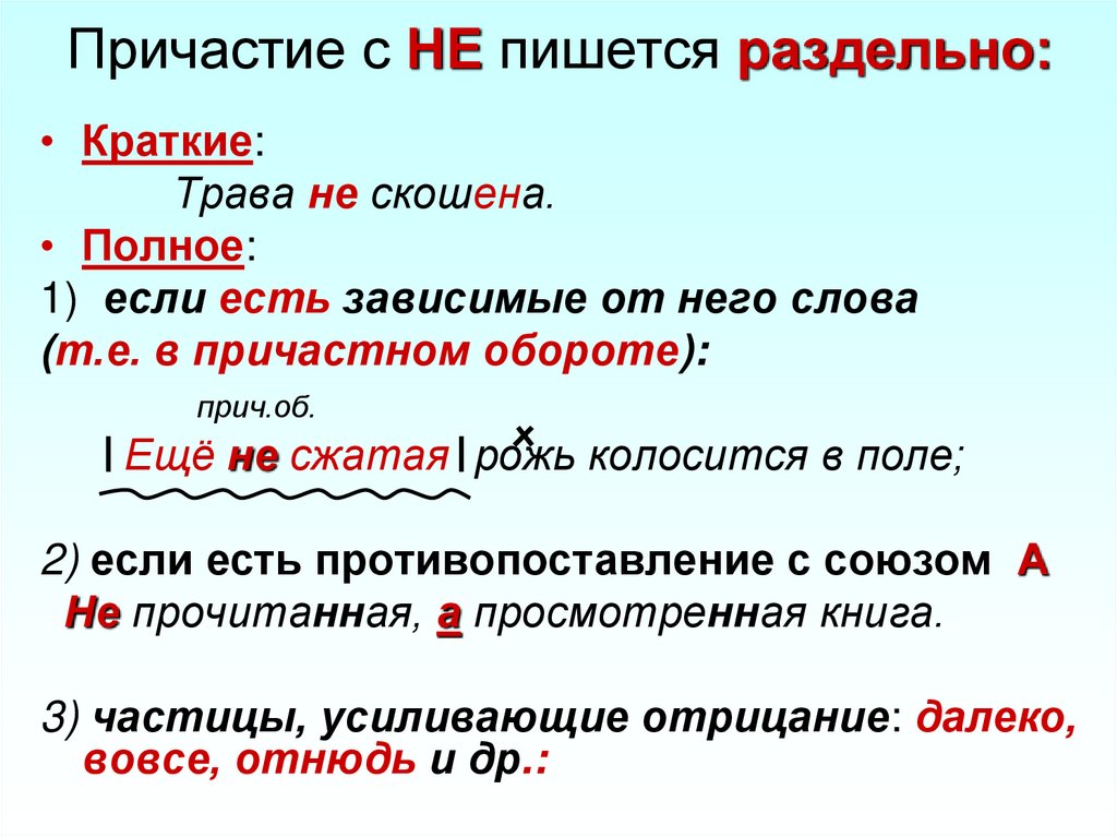 Причастие с НЕ пишется раздельно: