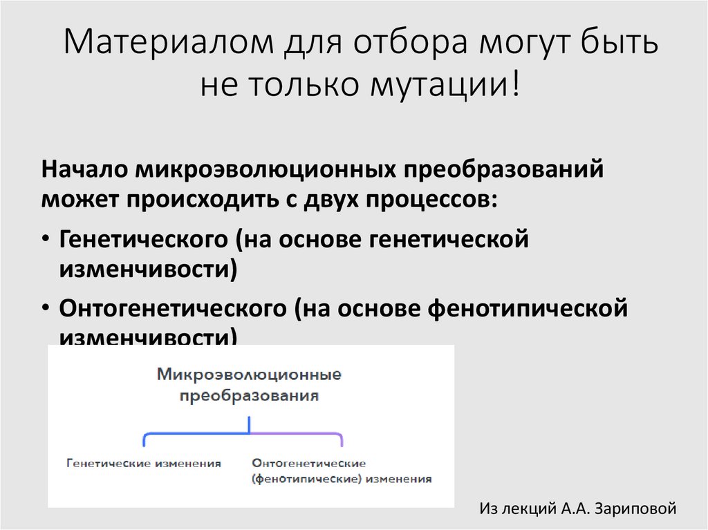 Материалом для отбора могут быть не только мутации!