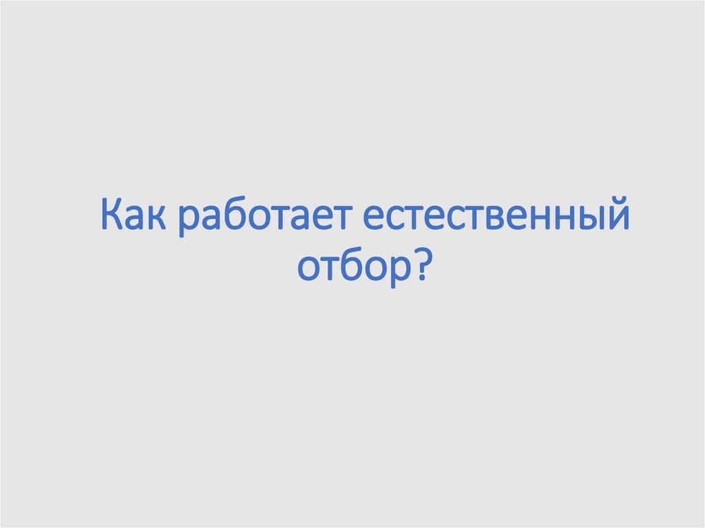 Как работает естественный отбор?